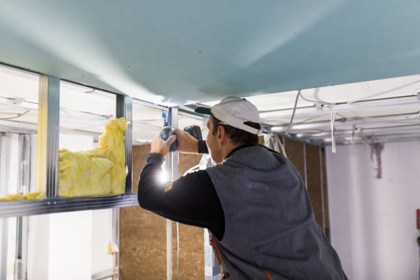 Insulation Replacement Services in Burnham, IL