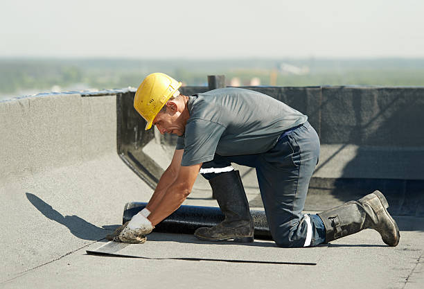 Best Insulation Inspection Services  in Burnham, IL