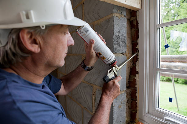 Best Cellulose Insulation  in Burnham, IL