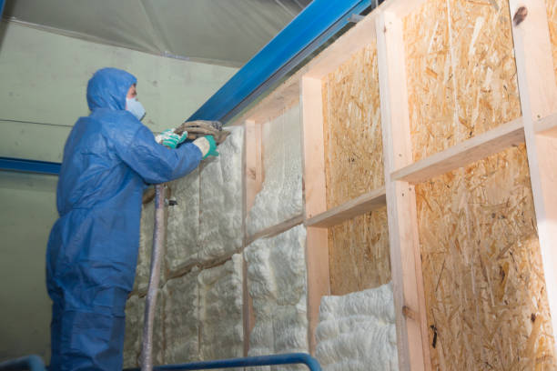 Best Professional Insulation Contractor  in Burnham, IL