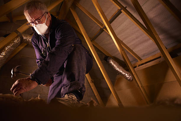 Best Insulation Replacement Services  in Burnham, IL